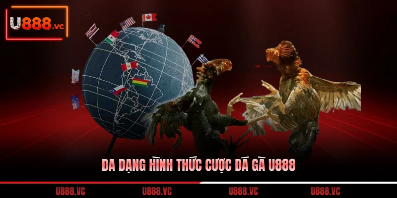 da-dang-hinh-thuc-cuoc-da-ga-u888