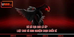 da-ga-cua-dao-la-gi-luat-choi-va-kinh-nghiem-chon-chien-ke