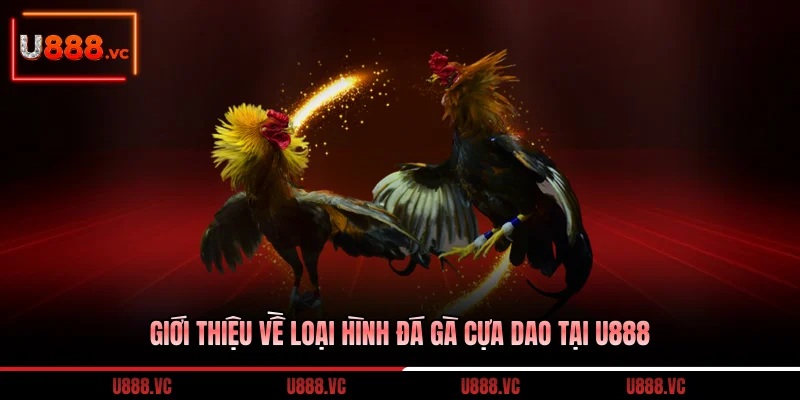 gioi-thieu-ve-loai-hinh-da-ga-cua-dao-tai-u888