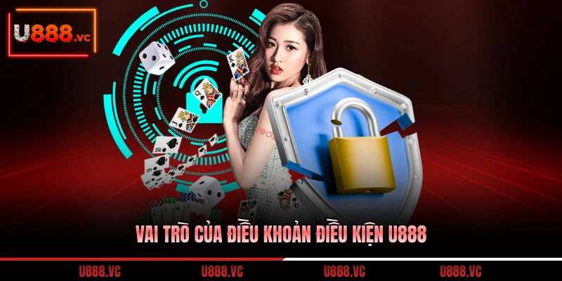 vai-tro-cua-dieu-khoan-dieu-kien-u888
